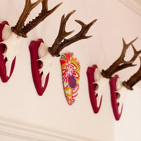 Zum Fally - Landgasthof 게스트하우스 3*