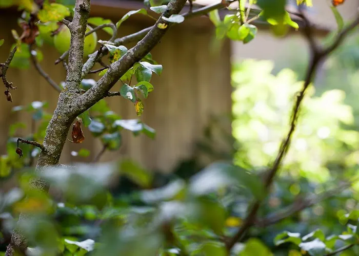 Zum Fally - Landgasthof Kirchberg am Wechsel